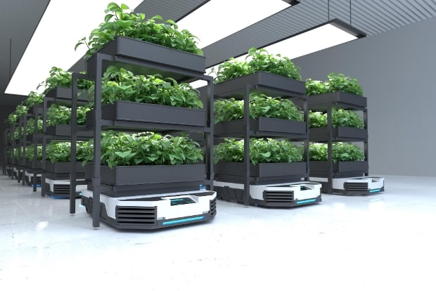 Vertical Farming: The Future of Urban Agriculture